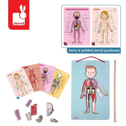 Janod - The magnetic puzzle Human body