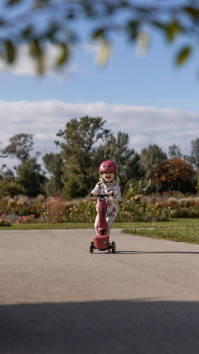 SCOOTANDRIDE - Highwaykick 1 Lifestyle 2in1 Ride-on and scooter with lockable storage 1-5 years Wildcat