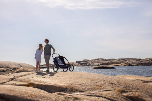 Hamax - Bike trailer for kids  BREEZE, double - Navy/cream