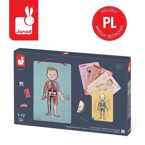 Janod - The magnetic puzzle Human body