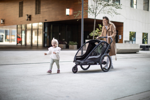 Hamax - Bike trailer for kids COCOON , double- Grey/black