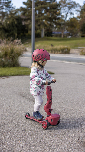 SCOOTANDRIDE - Highwaykick 1 Lifestyle 2in1 Ride-on and scooter with lockable storage 1-5 years Wildcat