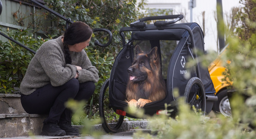 Bicycle trailer for a dog - Hamax Pluto L 45 kg - Blue / Black