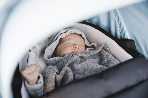 Thule Shine - Bassinet