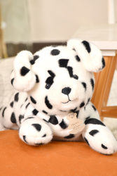 DOUDOU – Les P'tits Relax weighted plush dalmatian dog, Histoire d'Ours, 30 cm, white
