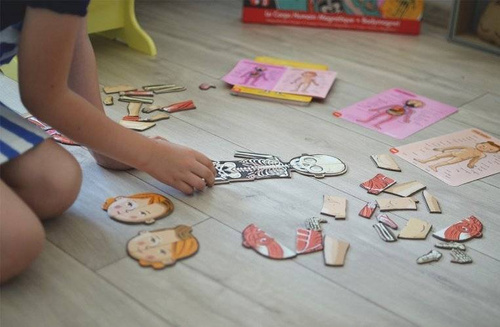 Janod - The magnetic puzzle Human body