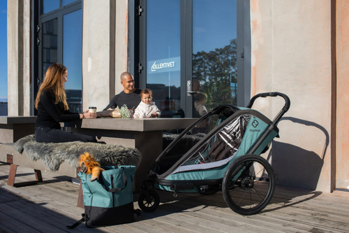 Hamax - Bike trailer for kids COCOON + Jogger wheel , double - Green/black