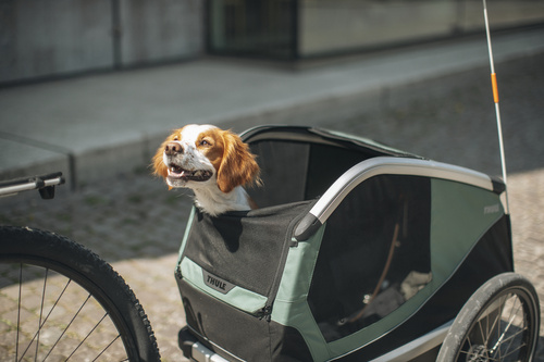 Bicycle trailer for a dog - Thule Bexey L up to 45 kg - Haze green