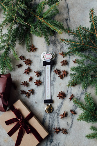 Elodie Details - Pacifier - Joy to the world