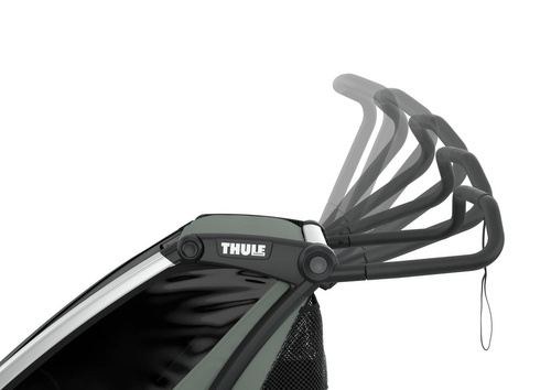 Thule Chariot Lite 2 Agave-Black