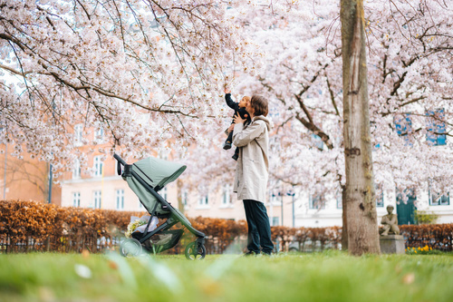 Wózek spacerowy Thule Spring - Black/Soft Beige