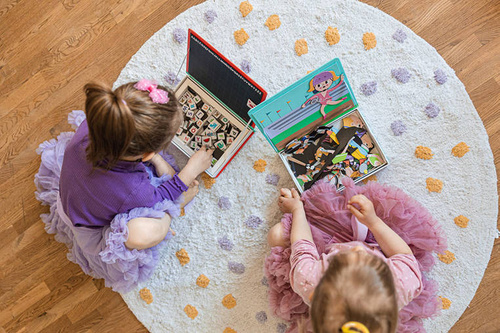 Janod -Magnetibook - Sports