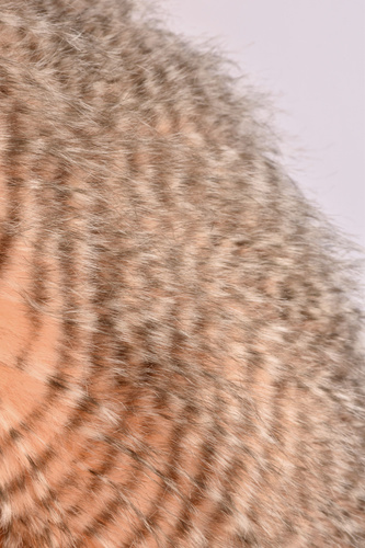 DOUDOU - przytulanka kurka Madame Poule XXL, Histoire d'Ours, 50 cm, orange