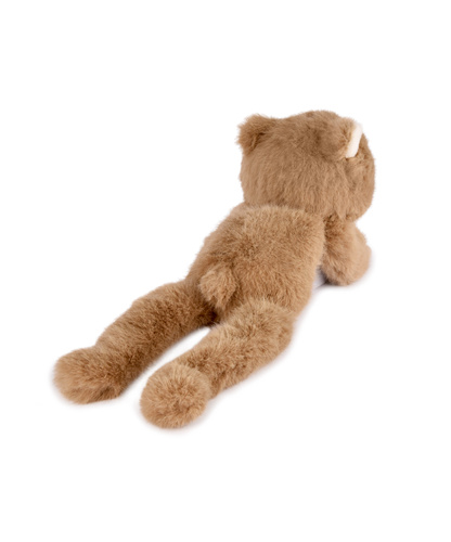 DOUDOU - magnetic plush Podcoll Bear, Histoire d'Ours, 30 cm, brown