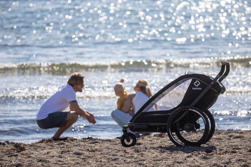 Hamax - Bike trailer for kids BREEZE + Jogger wheel, double - Back
