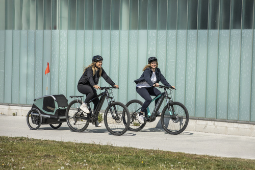 Bicycle trailer for a dog - Thule Bexey L up to 45 kg - Haze green