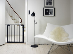 Baby Dan - Premier Safety Gate silver