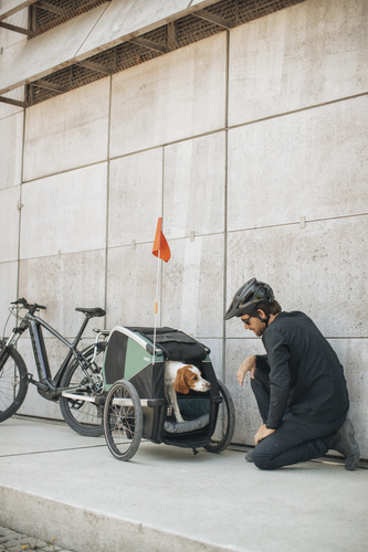 Bicycle trailer for a dog - Thule Bexey L up to 45 kg - Haze green