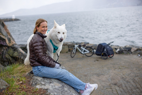 Bicycle trailer for a dog - Hamax Pluto L 45 kg - Blue / Black