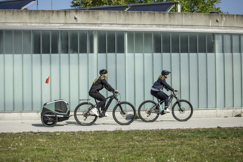 Bicycle trailer for a dog - Thule Bexey L up to 45 kg - Haze green