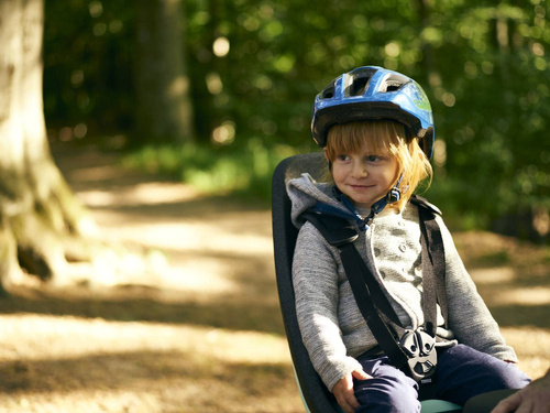 THULE Yepp Nexxt Maxi Frame Mounted - Child bike seat - Mint Green