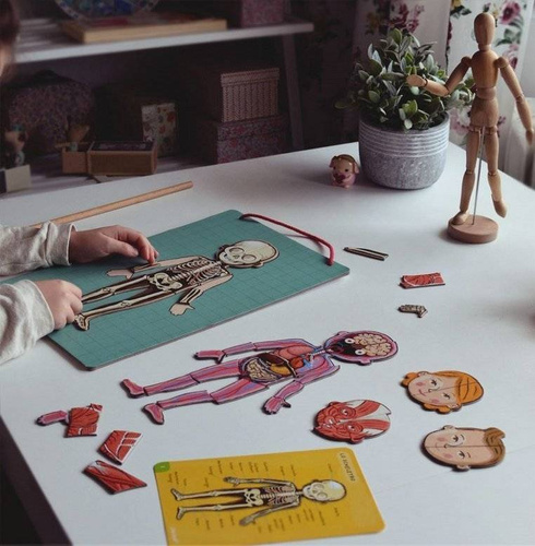 Janod - The magnetic puzzle Human body