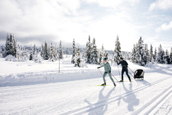 Hamax Outback Next - ski set
