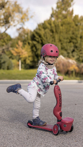 SCOOTANDRIDE - Highwaykick 1 Lifestyle 2in1 Ride-on and scooter with lockable storage 1-5 years Wildcat