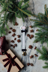 Elodie Details - Pacifier - Joy to the world