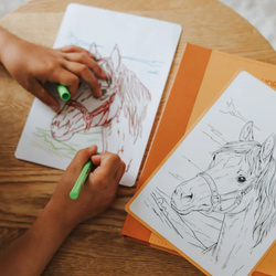 KIDYWOLF – refill set for KIDYDRAW-PAD 8+, Horses