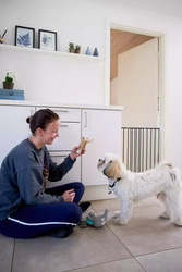 DogSpace - Lucky Extending Dog Gate, Black (62.5-106cm)