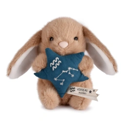 DOUDOU – DOUDOU ASTRO plush rabbit with zodiac sign, Doudou et Compagnie, 12 cm, Aquarius