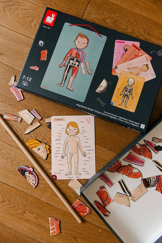 Janod - The magnetic puzzle Human body