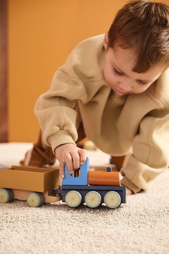 Kid's Concept - Farm animal train - AIDEN