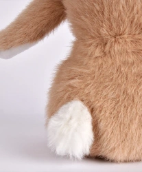 DOUDOU – DOUDOU ASTRO plush rabbit with zodiac sign, Doudou et Compagnie, 12 cm, Pisces