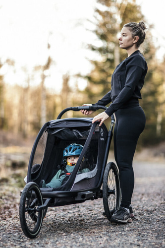 Hamax - Bike trailer for kids COCOON , double- Grey/black