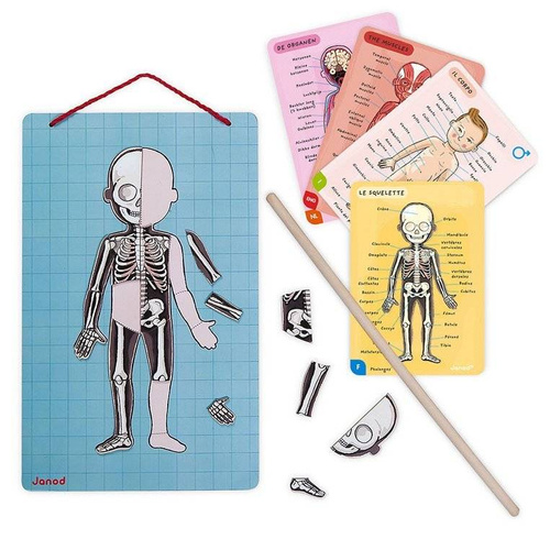 Janod - The magnetic puzzle Human body