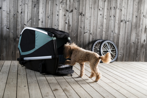 Bicycle trailer for a dog - Thule Bexey L up to 45 kg - Haze green