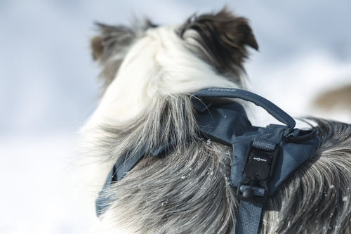 Thule - Dart harness L, dark slate