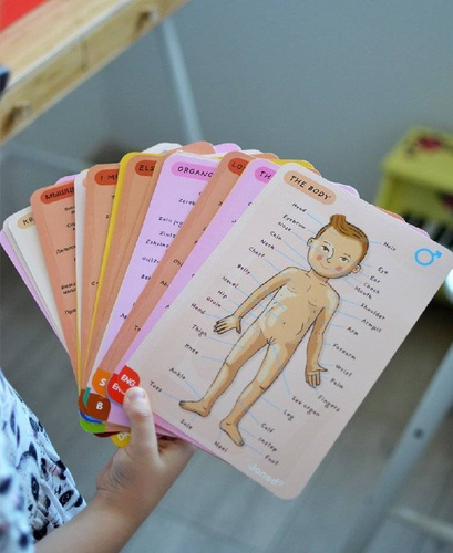 Janod - The magnetic puzzle Human body