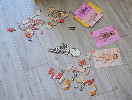 Janod - The magnetic puzzle Human body