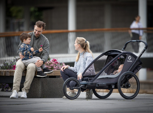 Hamax - Bike trailer for kids COCOON , double- Grey/black