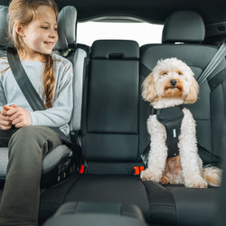 THULE Cappy – car harness for dogs – size L