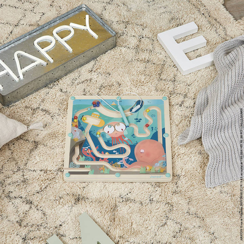 Janod - The magnetic maze of the Ocean