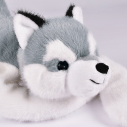 DOUDOU – Histoire d'Ours weighted plush Husky dog, 50 cm, light grey