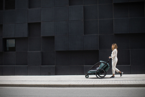 Hamax - Bike trailer for kids COCOON ONE - Green/black