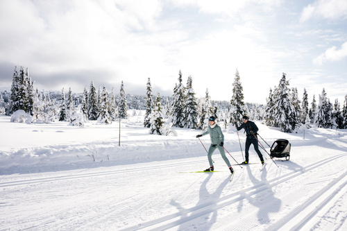 Hamax Outback Next - ski set