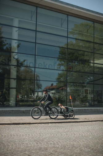 Bicycle trailer for a dog - Thule Bexey L up to 45 kg - Haze green