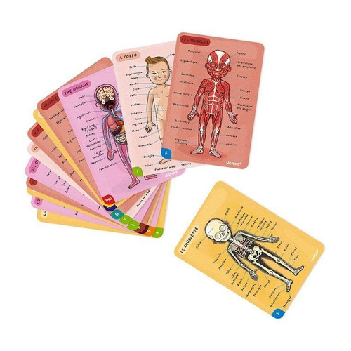 Janod - The magnetic puzzle Human body