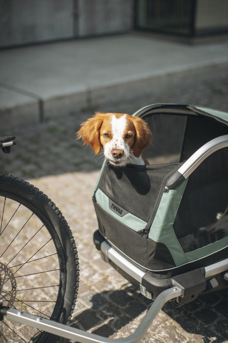 Bicycle trailer for a dog - Thule Bexey M up to 35 kg - Haze green